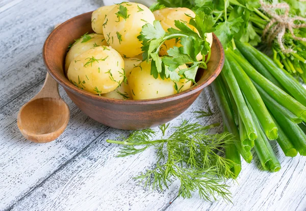 Young kokt potatis med dill, persilja och lök — Stockfoto