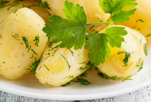 Unga kokt potatis med dill — Stockfoto
