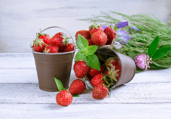 Fresa en un cubo y flores —  Fotos de Stock