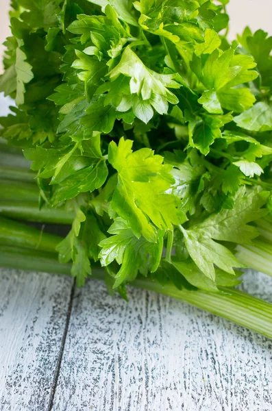 Zwiebeln und Petersilie — Stockfoto