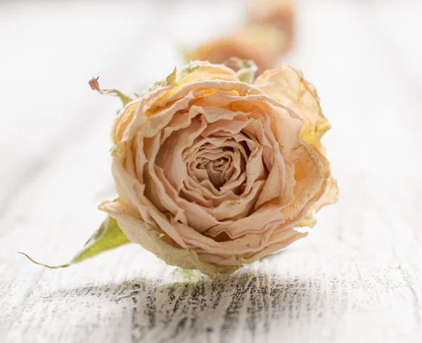 Dry rose on background of shabby wooden planks in rustic style — Zdjęcie stockowe