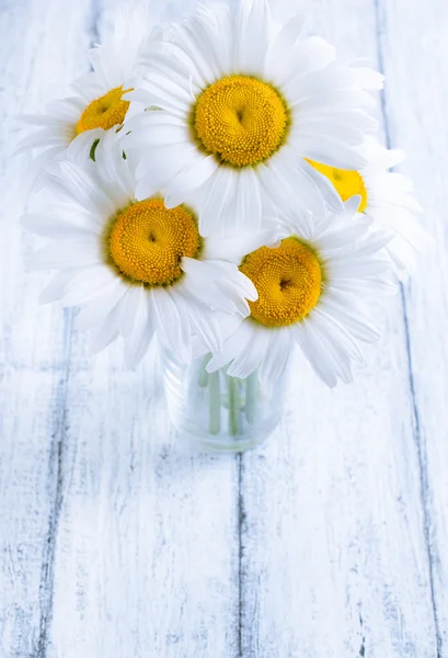 Bouquet of daisies — Stock Photo, Image