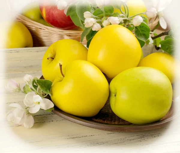 Stilleven met appels en takje appelboom in de lade — Stockfoto