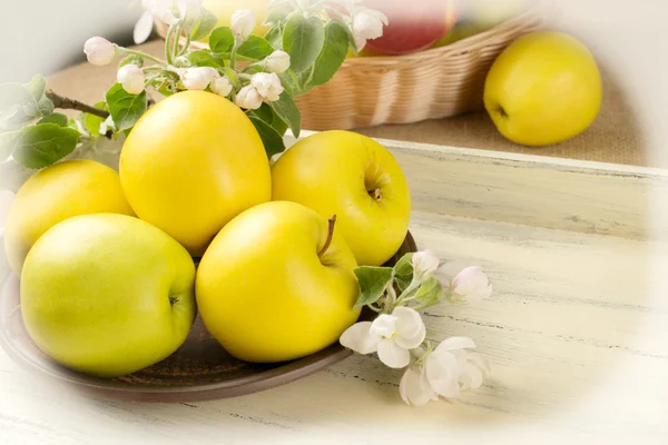 Stilleven met appels en takje appelboom in de lade — Stockfoto