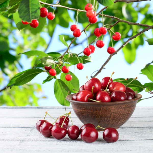 Sweet cherry on the wooden table in garden — Stock Photo, Image