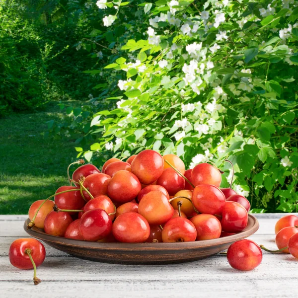 Sweet cherry on the wooden table in garden — Stock Photo, Image