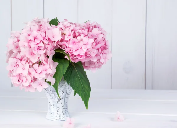 Hortense in Retro-Vase im Shabby Chic-Stil — Stockfoto