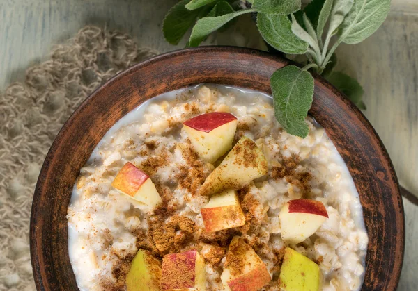 Oatmeal with apple and cinnamon in the bowl — Stock Photo, Image