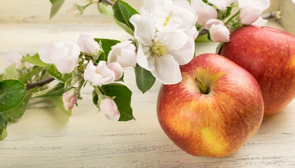 Stilleven met appels en takje appelboom — Stockfoto