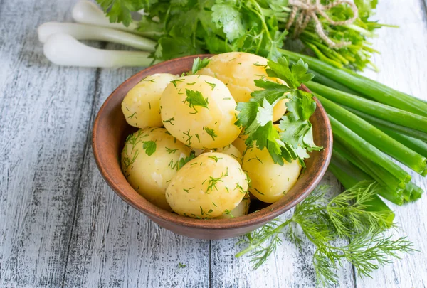 Young kokt potatis med dill, persilja och lök — Stockfoto