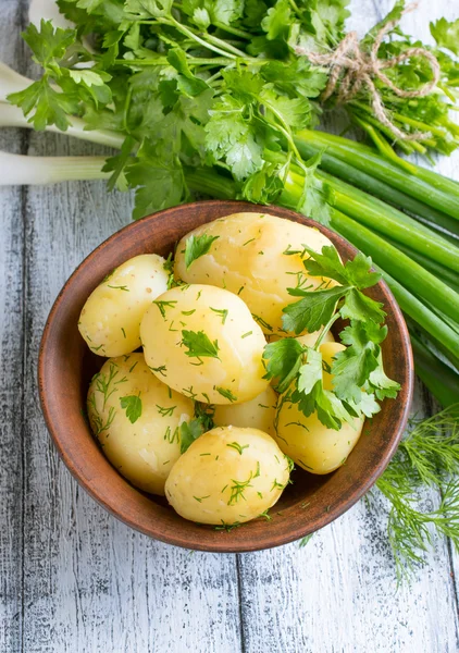 Patatas jóvenes hervidas con eneldo, perejil y cebolla — Foto de Stock