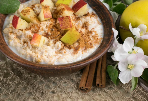 Harina de avena con manzana y canela en el tazón de cerámica —  Fotos de Stock