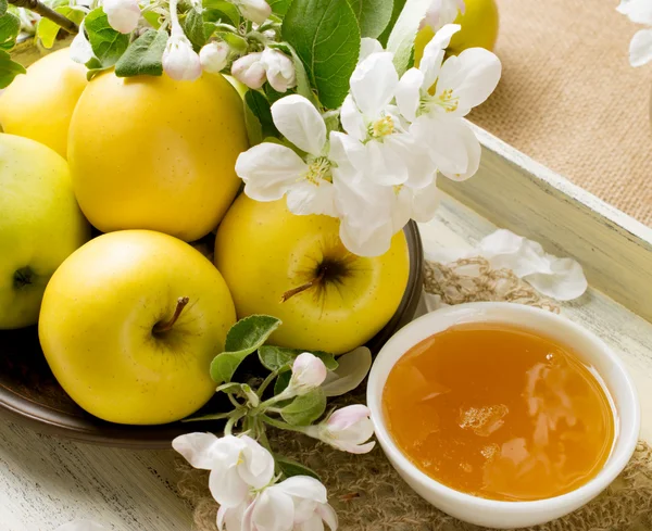 Stilleven met appels, takje appelboom en honing in de lade — Stockfoto