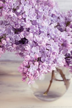 Bir şişe içinde Lila çiçek 