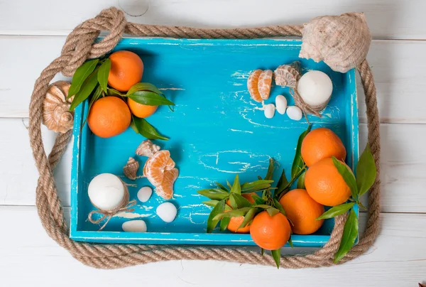 Tropiska Stilla liv med mandariner — Stockfoto