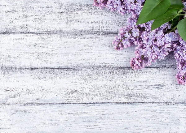 Lilac flowers on wooden planks — Stock Photo, Image