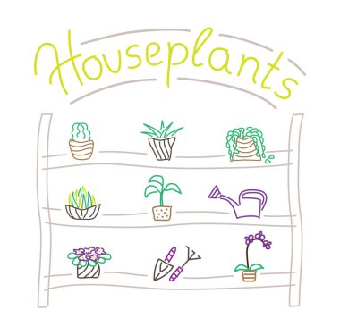 Ev bitkileri. Güzel kontur vektör simgeleri: sulandırıcılar, kaktüsler, menekşe, orkide, aloe vera, kırmızı, sulama kutusu, bahçe aletleri.