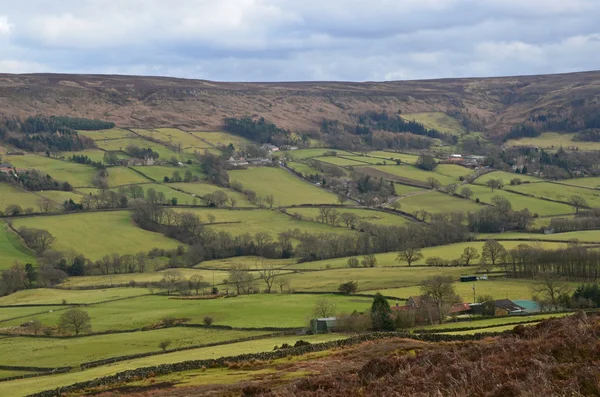 Yorkshire Moors — Stock fotografie