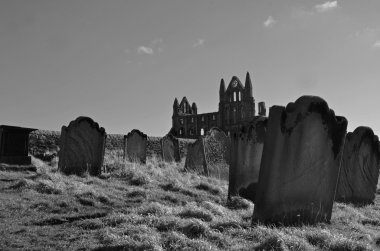 Whitby graves