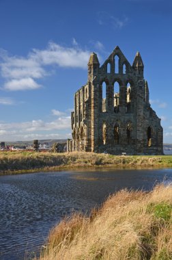 Whitby abbey görünümü