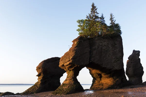 Hopewell Rocks au Canada au lever du soleil — Photo