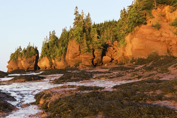 Hopewell Rocks en Canadá al amanecer — Foto de Stock