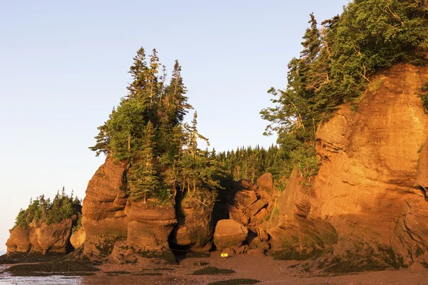 Hopewell Rocks au Canada au lever du soleil — Photo
