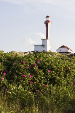 Cape Forchu feneri Nova Scotia Kanada