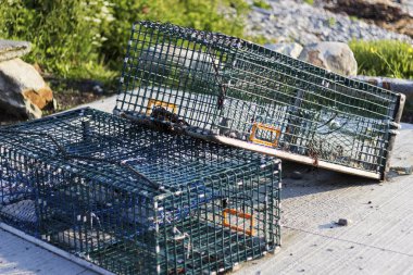 Istakoz tuzaklar Kanada