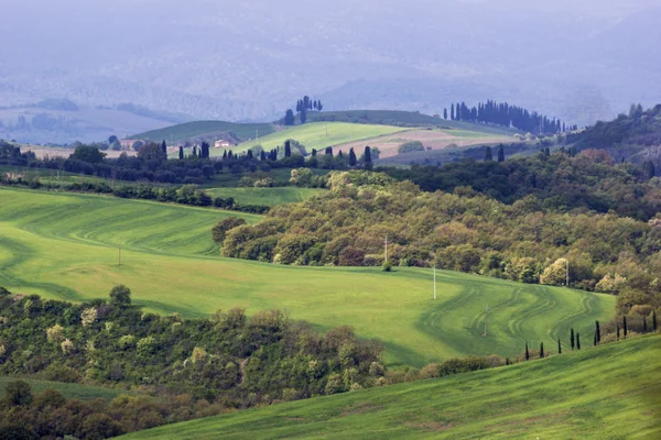 Toscana em itália — Fotografia de Stock