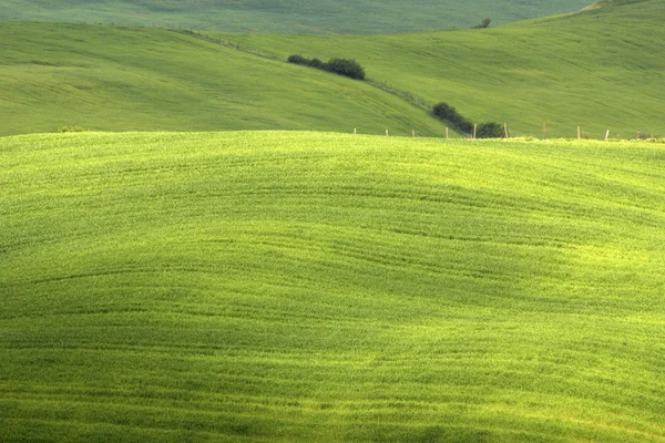 Toscana em itália — Fotografia de Stock