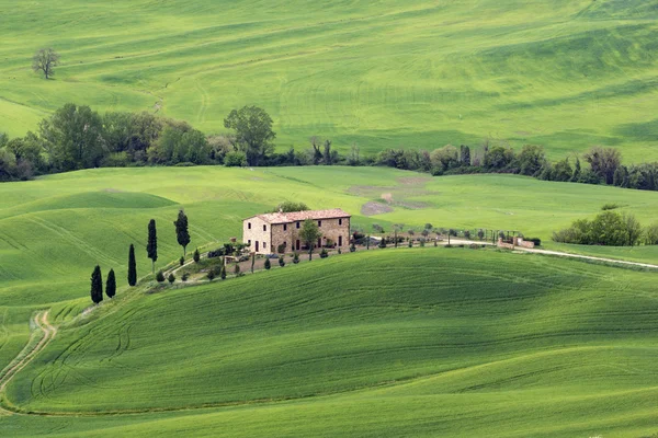 Toscana en Italia —  Fotos de Stock