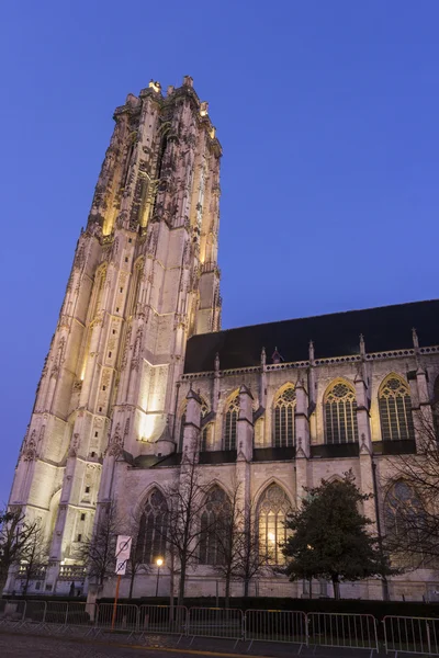 Catedral de Saint Rumbold em Mechelen, na Bélgica — Fotografia de Stock