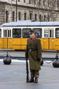Muhafız Budapeşte, Macaristan