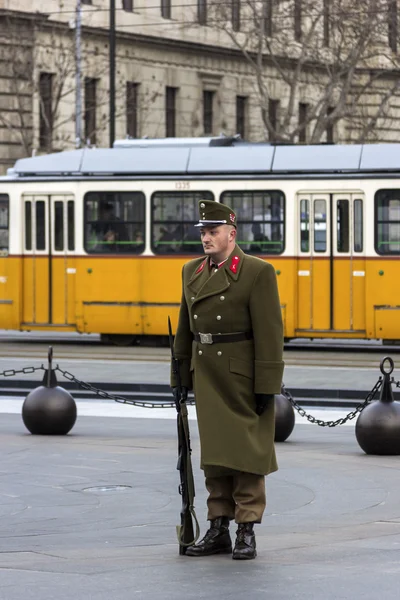 Muhafız Budapeşte, Macaristan