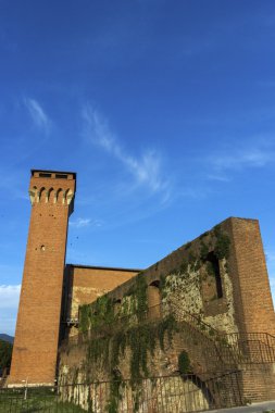 Cittadella Medicea onun Torre Guelfa Pisa İtalya ile