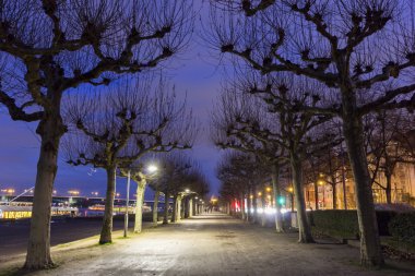 Rheinpromenade Almanya Mainz