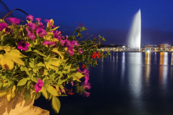 Fontein van Genève in Genève in Zwitserland — Stockfoto