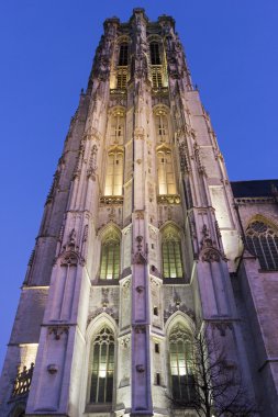 Saint Öztuna'nın Cathedral Mechelen Belçika içinde