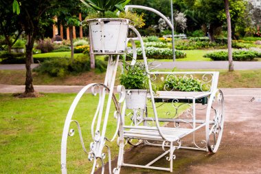 üç tekerlekli bisiklet park