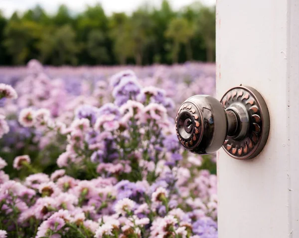 Maçaneta Branca Porta Jardim Flor — Fotografia de Stock