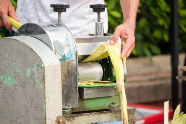 Şeker kamışından tatlı elde etmek için Tayland şeker kamışı sarma veya öğütme makinesi