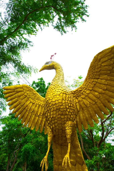 孔雀ゴールドを図翼の像 — ストック写真