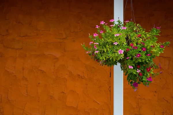Çiçek sepeti duvarda pencere — Stok fotoğraf