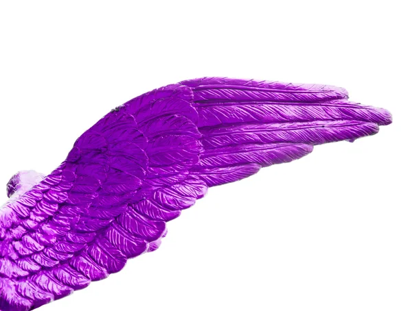 Symbolic composition of colorful wings — Stock Photo, Image