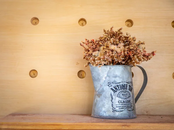 Planta Fresca Orgánica Maceta Jardinería Casera Cuidado Plantas — Foto de Stock