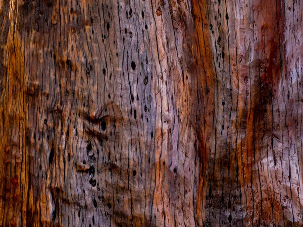 Текстура Коричневого Дерева Анотація Тла Порожній Шаблон — стокове фото