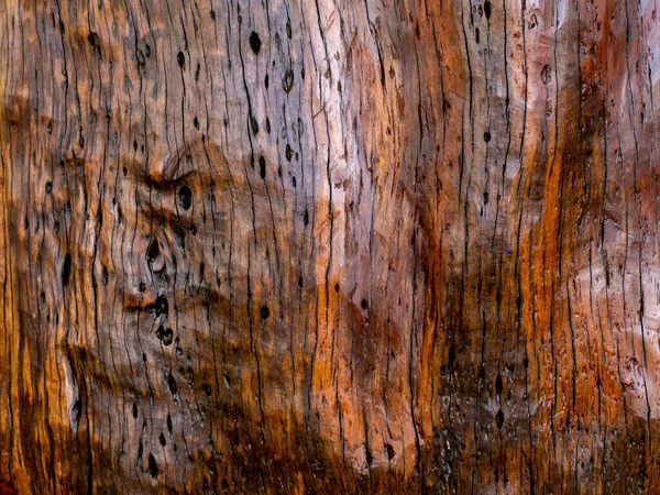 Struttura Legno Marrone Astratto Sfondo Modello Vuoto — Foto Stock