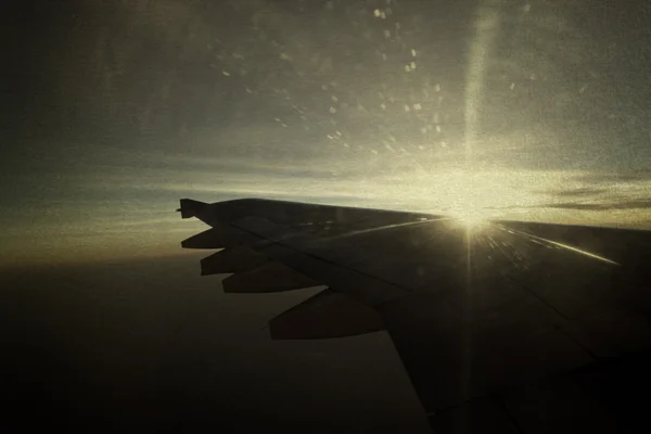 Вінтажне зображення птахів вид на гімалаї на літаку — стокове фото