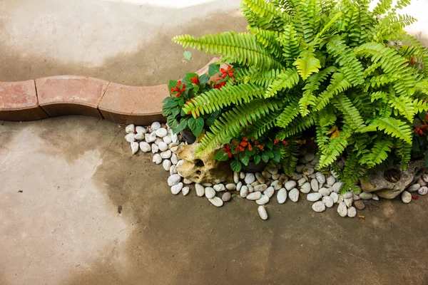 Pequeño jardín diseño al aire libre — Foto de Stock